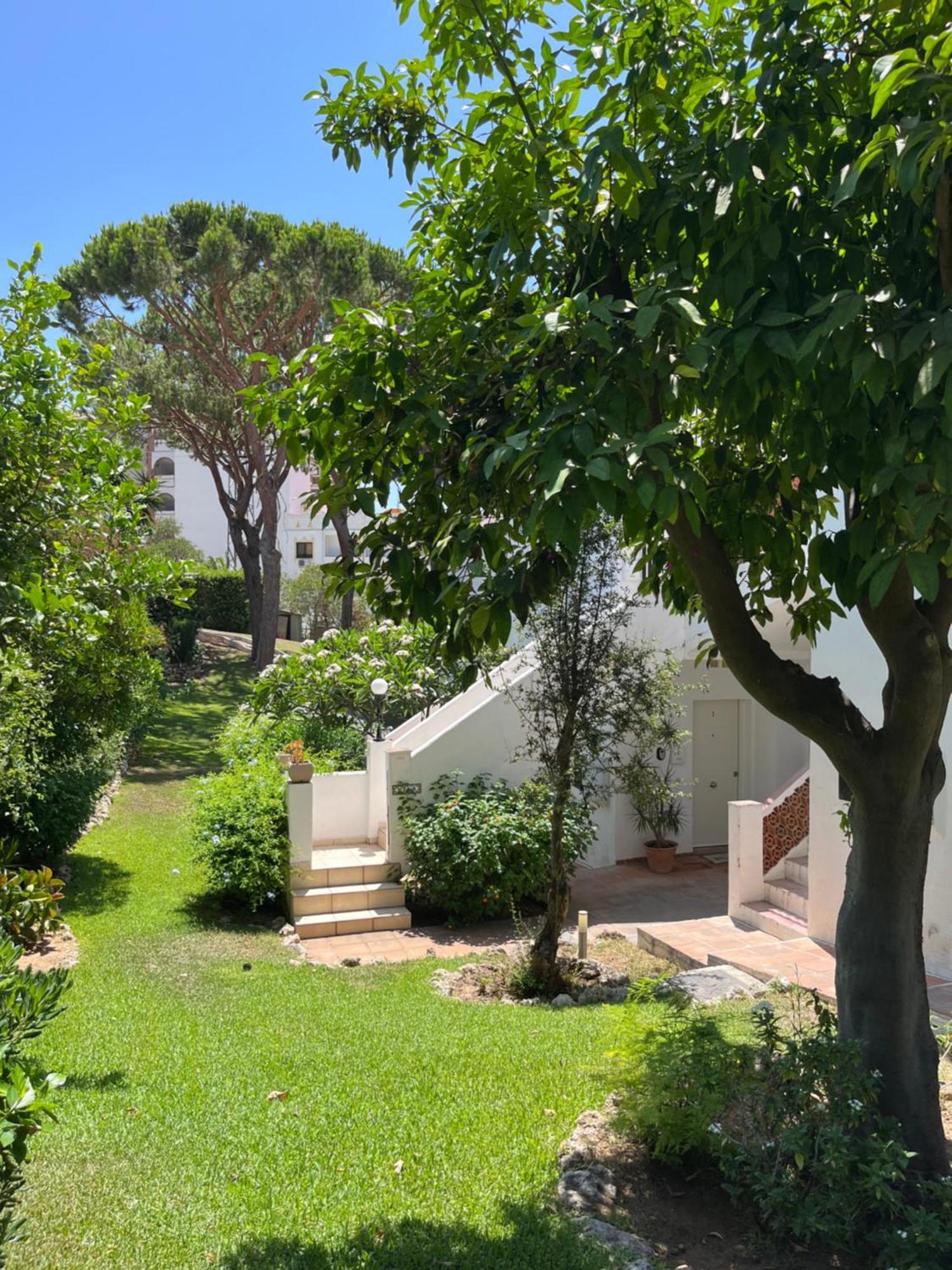 "Los Rosales Apartment, 500M To The Beach" Sitio de Calahonda Εξωτερικό φωτογραφία